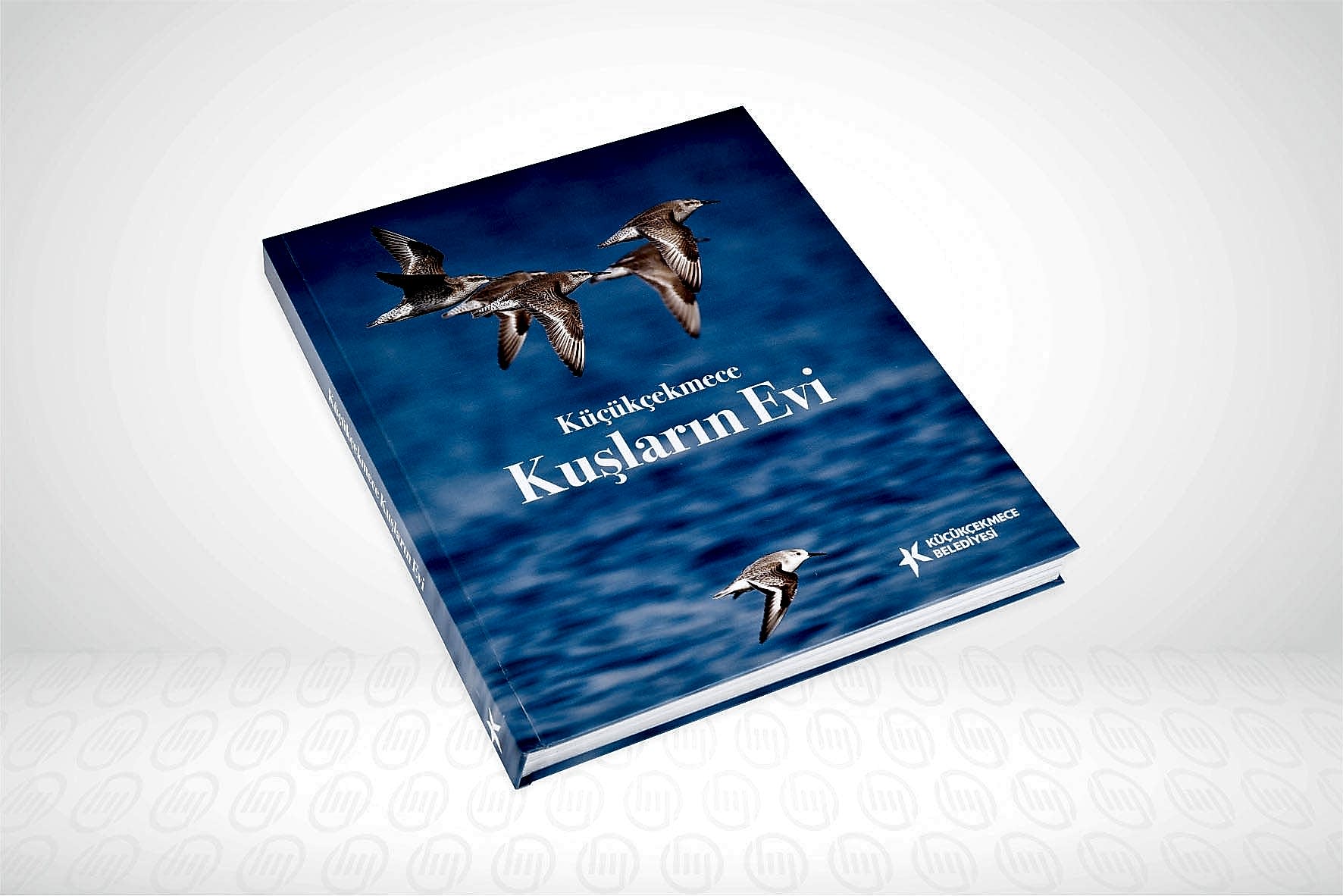 Kitap